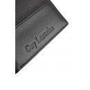 GUY LAROCHE   37707 BROWN 