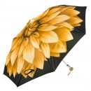 PASOTTI   257-21273 6-A29 ORO NERO 