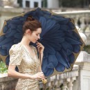 PASOTTI   189-21065-13-P17 BLUE 