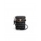 LE PANDORINE   DBL02967 02 